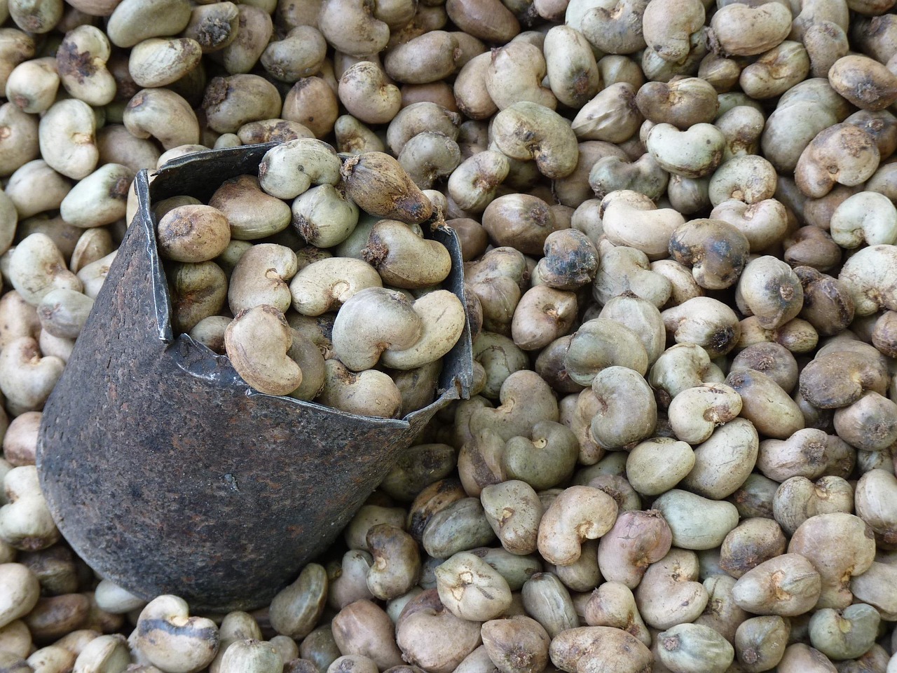 Wie mache ich cremiges Cashew-Käse ohne Milchprodukte?